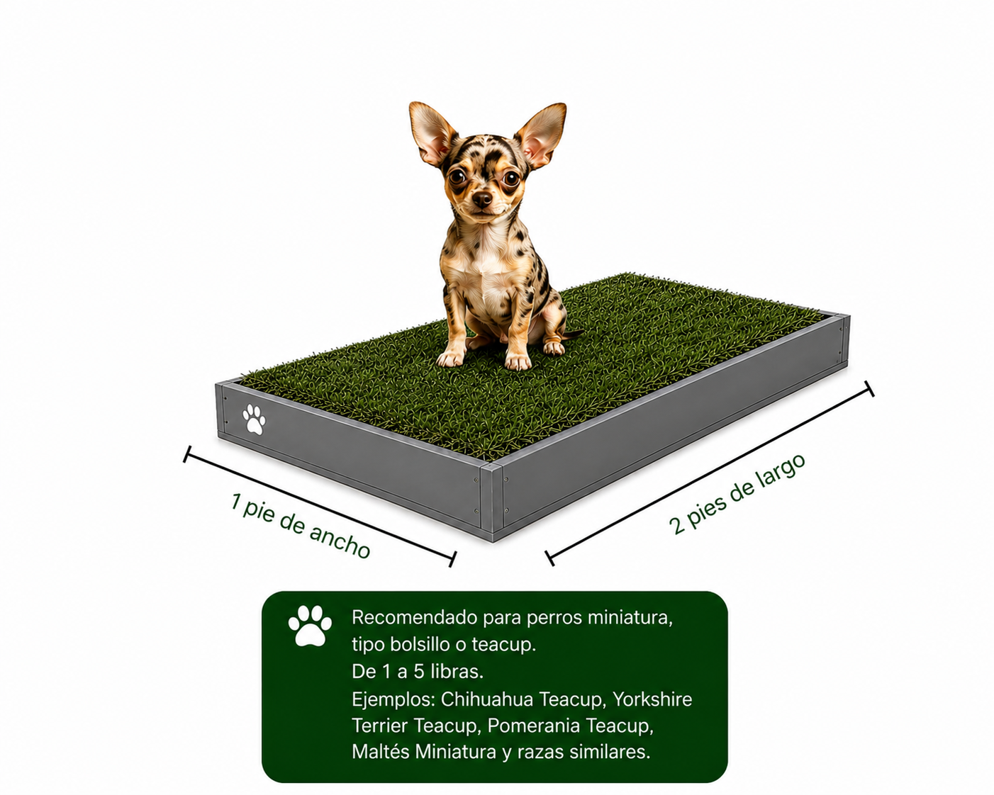 PawGrass® Mini