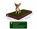 PawGrass® Mini