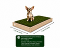 PawGrass® Mini