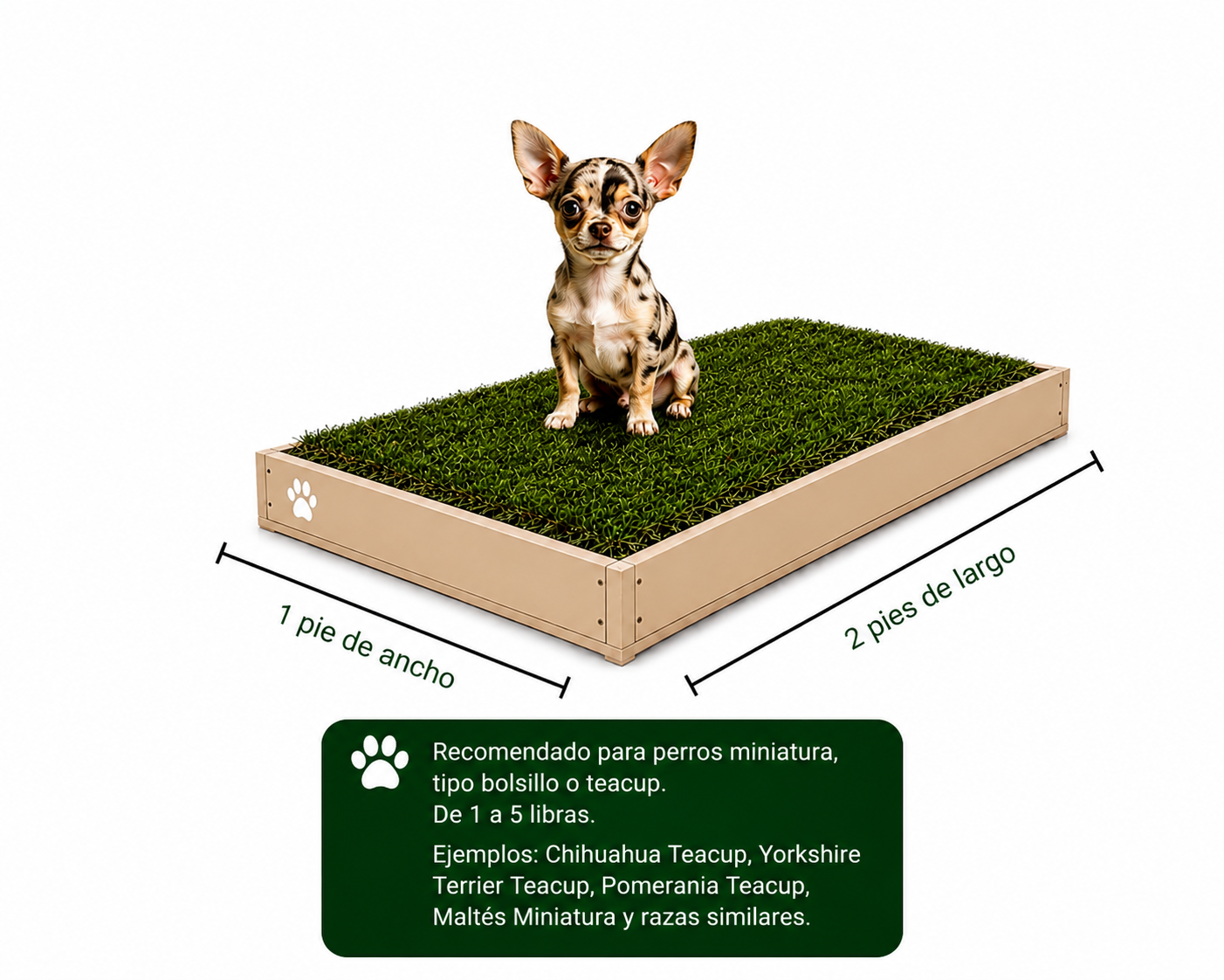 PawGrass® Mini