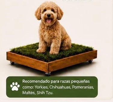 PawGrass® Small