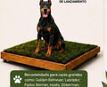 PawGrass® Large
