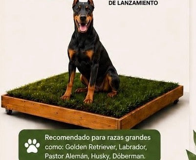PawGrass® Large