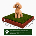 PawGrass® Cairo | Baño de Grama Natural para Perros Pequeños (2’ x 2’)