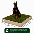 PawGrass® Large ⭐ BESTSELLER ⭐