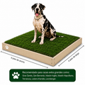 PawGrass® XL