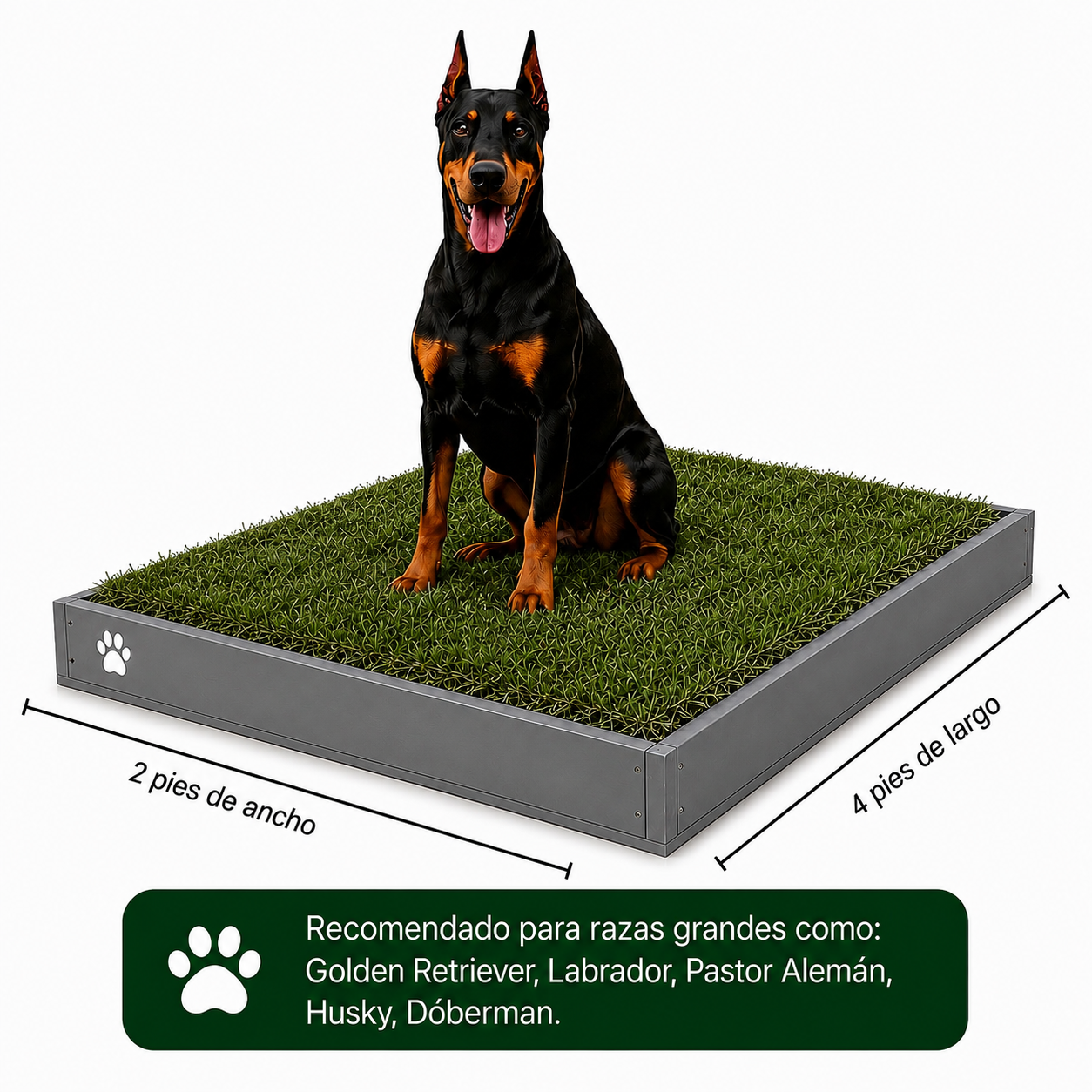 PawGrass® Large ⭐ BESTSELLER ⭐