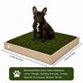 PawGrass® Agatha | Baño de Grama Natural para Perros Medianos (2’ x 3’)